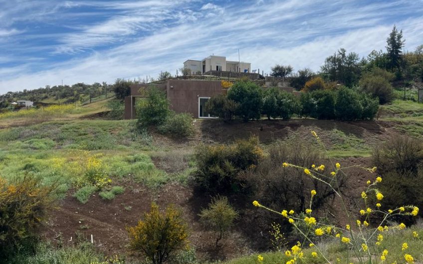 Hacienda Chacabuco // Colina