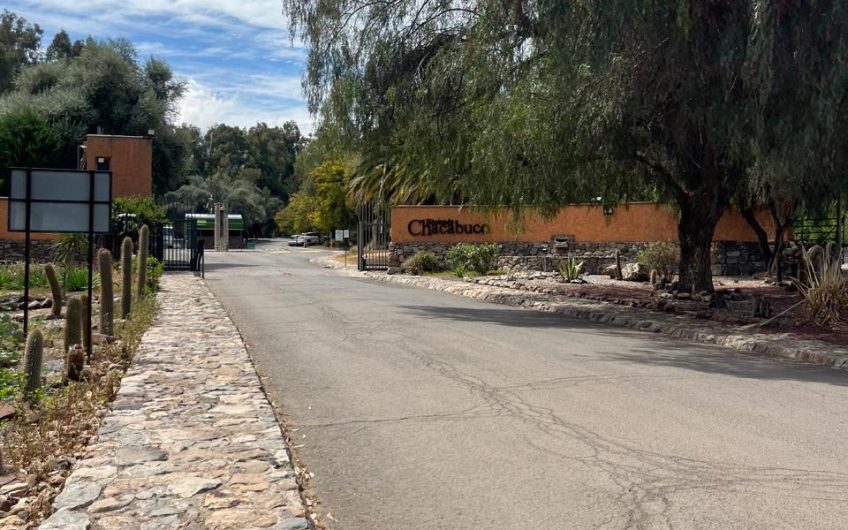 Hacienda Chacabuco // Colina