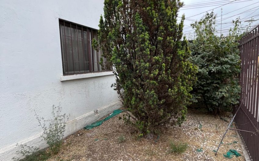 Av. Pedro De Valdivia // Guillermo Mann