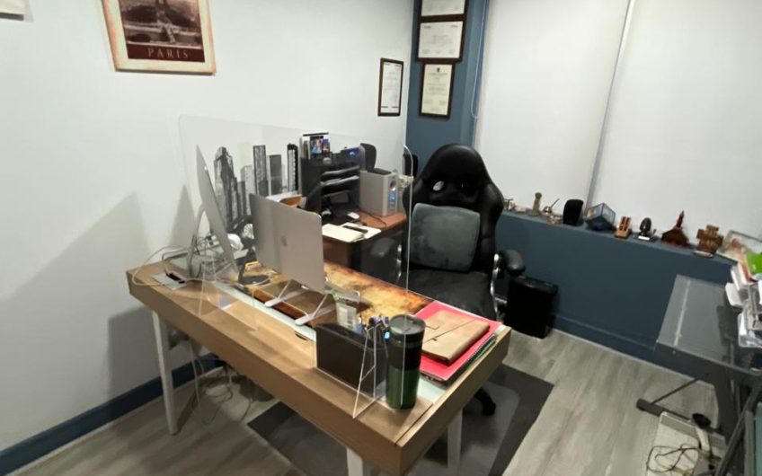 Holanda // Avenida Providencia