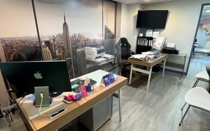 Holanda // Avenida Providencia