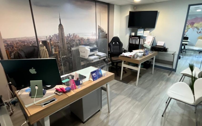 Holanda // Avenida Providencia