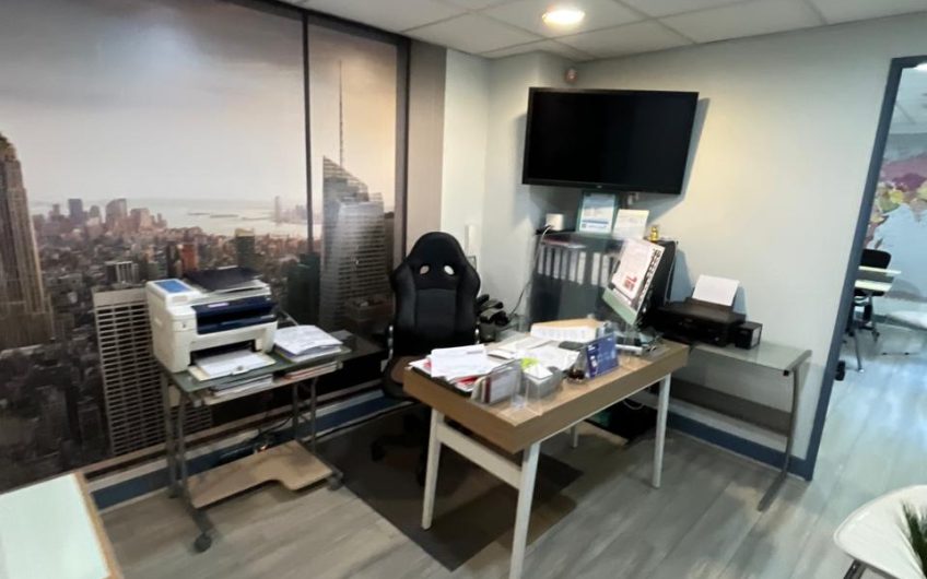 Holanda // Avenida Providencia