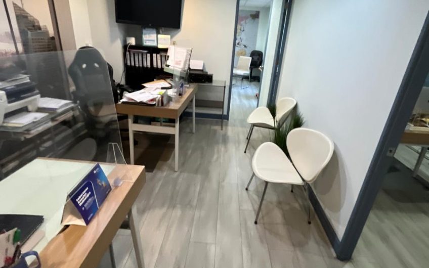 Holanda // Avenida Providencia