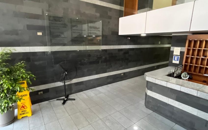 Holanda // Avenida Providencia