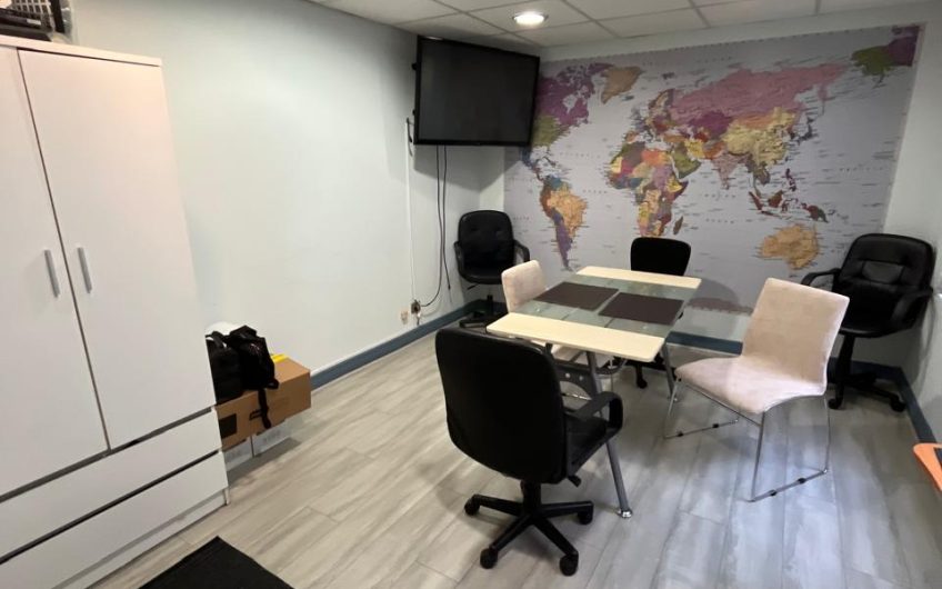 Holanda // Avenida Providencia