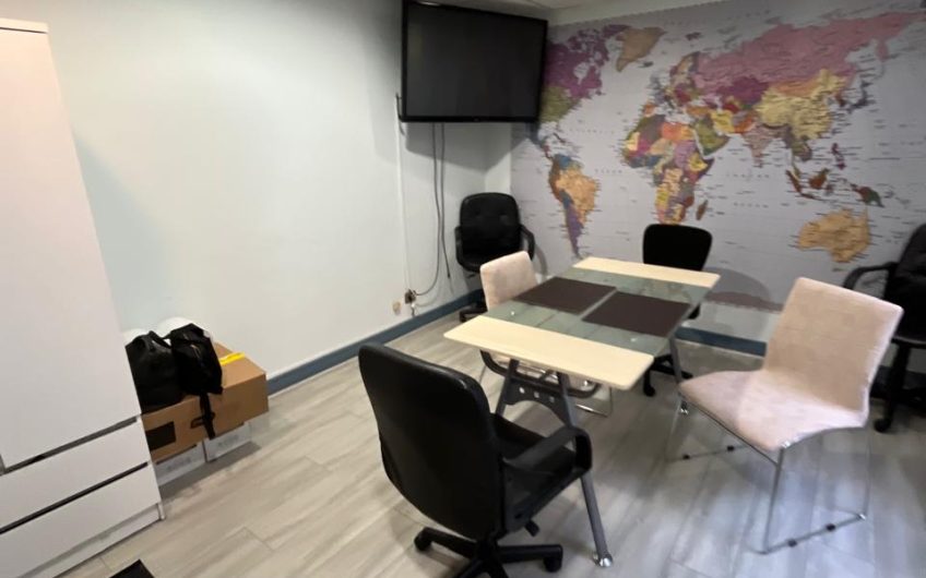 Holanda // Avenida Providencia