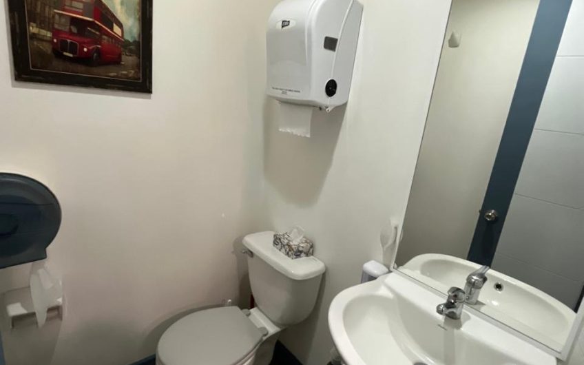 Holanda // Avenida Providencia