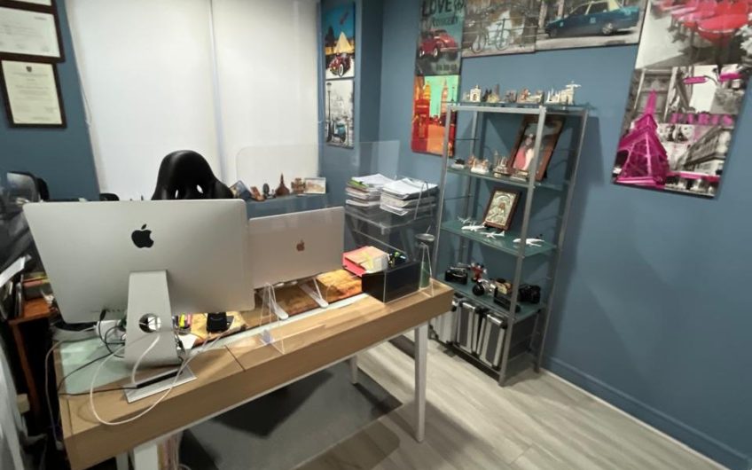 Holanda // Avenida Providencia