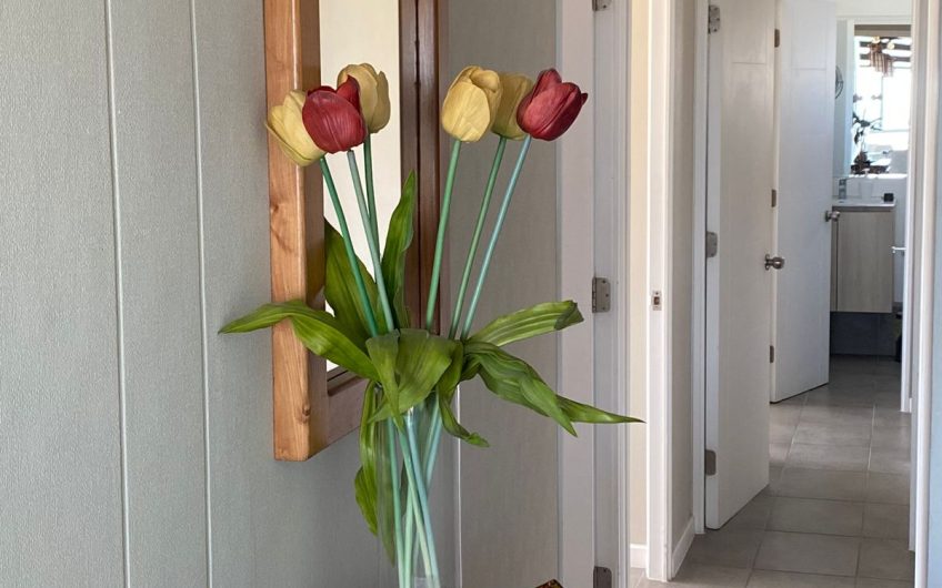 Federico Arcos // Condominio Altos Serena V