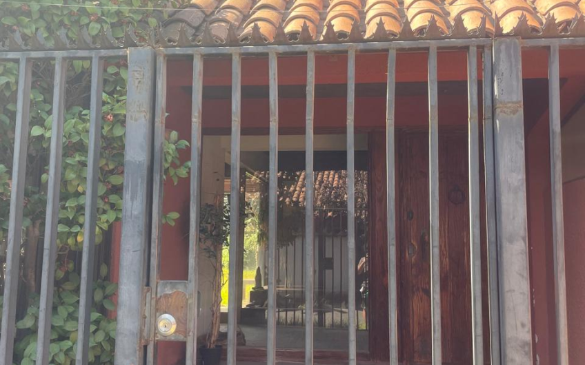 Avenida Echeñique // Vicente Perez Rosales